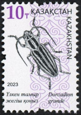 Dorcadion grande
