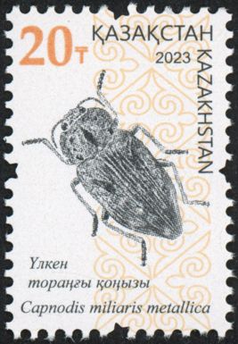 Capnodis miliaris metallica