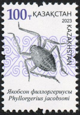 Phyllogerius jacobsoni