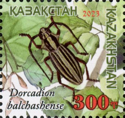 Dorcadion balchashense