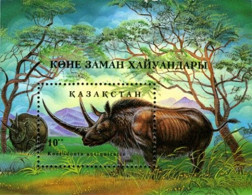 Woolly Rhinoceros (Coelodonta antiquitatis)