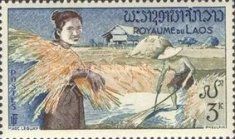 Rice Harvesting