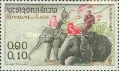 Asian Elephant (Elephas maximus)