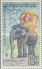 Asian Elephant (Elephas maximus)