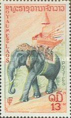 Asian Elephant (Elephas maximus)