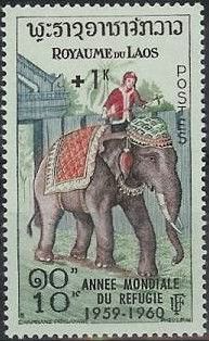 Asian Elephant (Elephas maximus)