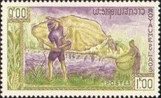Fisherman
