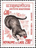 Binturong (Arctictis binturong)