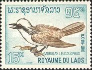 White-crested Laughingthrush (Garrulax leucolophus)