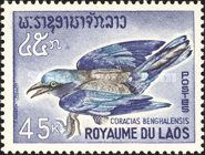 Indian Roller (Coracias benghalensis)