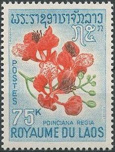 Peacock Flower