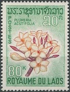 Frangipane Flower