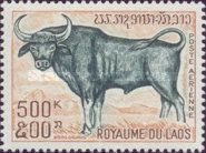 Gaur (Bos gaurus)