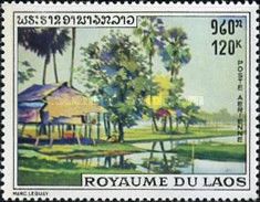 Paddy Field in Rainy Season