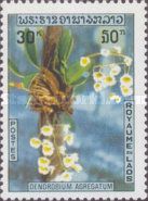 Dendrobium aggregatum