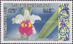 Cattleya du Bresil
