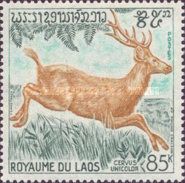 Sambar (Cervus unicolor)