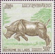 Javan Rhinoceros (Rhinoceros sondaicus)