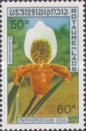 Paphiopedilum exul