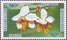 Vanda teres