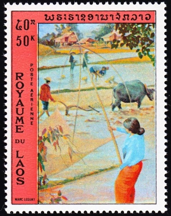 Village Daily Life