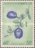 Blue Pea Vine