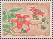 Cotton Tree