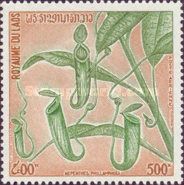 Common Swamp Pitcher