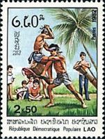 Techniques of Lao Martial Arts