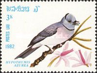 Black-naped Monarch (Hypothymis azurea)
