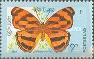 Assam Pasha (Herona marathus marathus)
