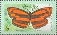 Perak Lascar (Neptis paraka)