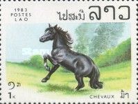 Horse (Equus ferus caballus)