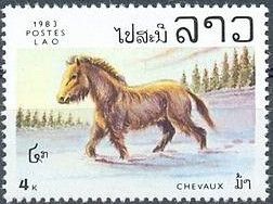 Horse (Equus ferus caballus)