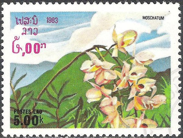 Moschatum