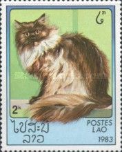 Long-haired Persian (Felis silvestris catus)