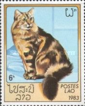 Tortoiseshell (Felis silvestris catus)