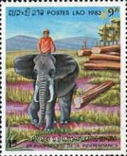 Asian Elephant (Elephas maximus) Dragging Log