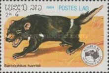 Tasmanian Devil (Sarcophilus harrisii)