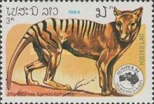 Tasmanian Tiger (Thylacinus cynocephalus)