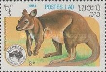Barrow Island Wallaroo (Wallabia isabellinus)