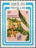 Odontoglossum luteo-purpureum