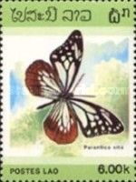 Chestnut Tiger (Parantica sita)
