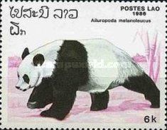 Giant Panda (Ailuropoda melanoleuca)