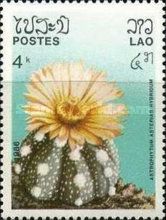 Astrophytum asterias