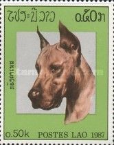 Great Dane (Canis lupus familiaris)