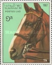 Chestnut horse