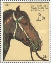 Dark chestnut horse