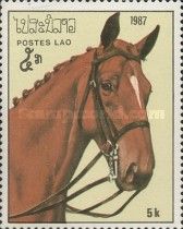 Chestnut horse with plaited mane