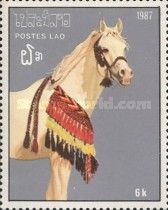 Grey horse